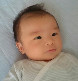 赤ちゃんがみたい