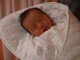 赤ちゃんがみたい