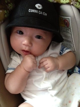 赤ちゃんがみたい