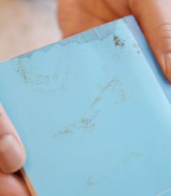 自殺２警官、上司批判のメモ　警視庁「パワハラない」