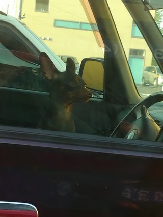 育児【ちら裏】