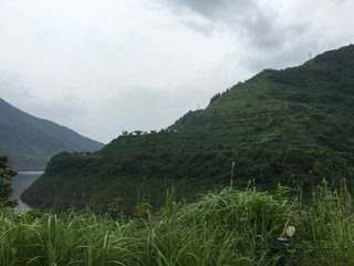 ど田舎住みの人、家の周りどうなってる？