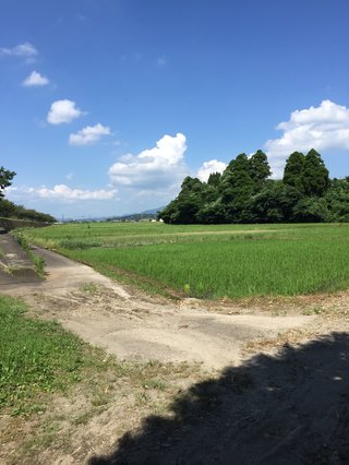 ど田舎住みの人、家の周りどうなってる？