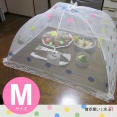 アッコにおまかせ