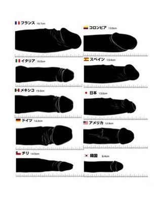 男性器の長さ世界一の国はコンゴ民主共和国（１７．９３ｃｍ）　アジア勢は苦戦★