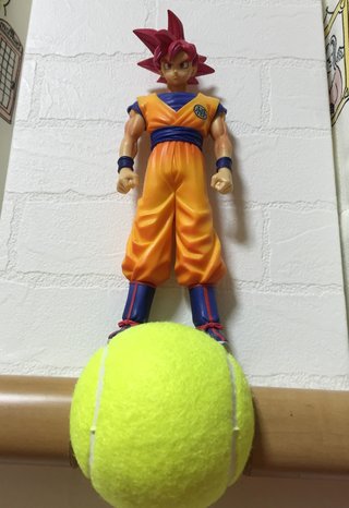 【2016年リオデジャネイロオリンピック】総合