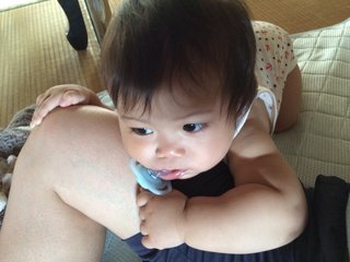 赤ちゃんがみたい