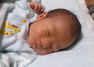 赤ちゃんがみたい