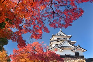 和歌山より滋賀のほうがずっとマイナーです！