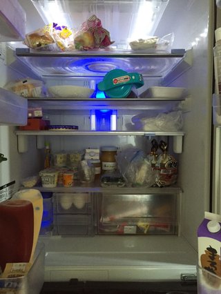 皆の家の冷蔵庫の中やキッチンを見せて