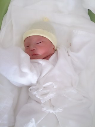 赤ちゃんがみたい