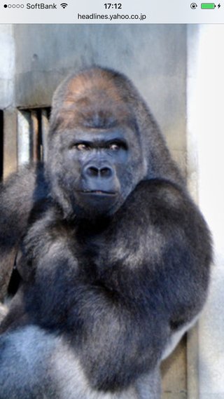 佐々木健介ブログ