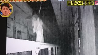 ﾌｼﾞTV【世界の何だｺﾚ!?ﾐｽﾃﾘｰ】(水曜後7･57)
