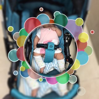 赤ちゃんがみたい