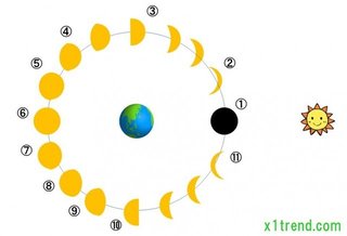 【中秋の名月】お月見の由来を子供へ！伝えるポイントはコレだ