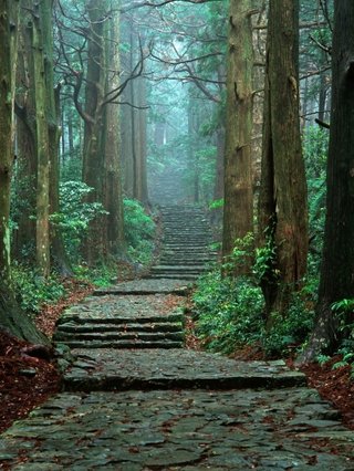 和歌山より滋賀のほうがずっとマイナーです！