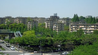 大阪に住んでる人、これどう？