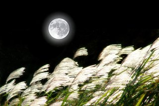 【秋の風物詩】今夜は中秋の名月 / 今年は171年ぶりの「十三夜」名月が見られる日！ 
