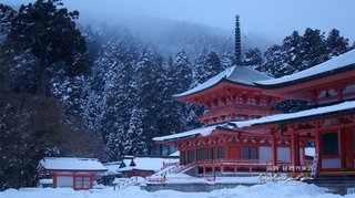 和歌山より滋賀のほうがずっとマイナーです！