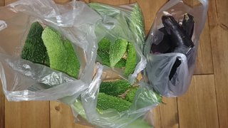 ゴーヤもナスも食べきれない