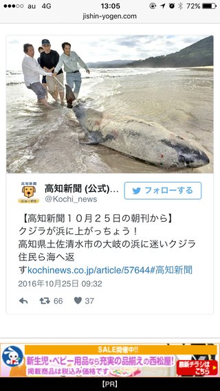 【地震前兆】があったら報告するﾄﾋﾟ