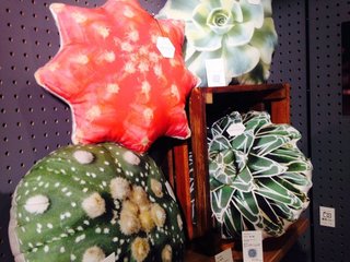 多肉植物はかわいい？こわくない？