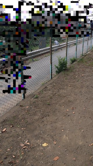 公園で小学生がボール遊び