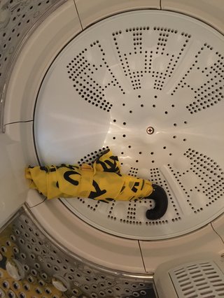 洗濯機からアレが出てきた！