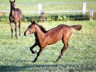 ♂ﾍﾞﾋﾞﾏﾏさんの名前自慢&#x{11:F991};