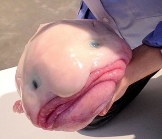 佐々木健介ブログ