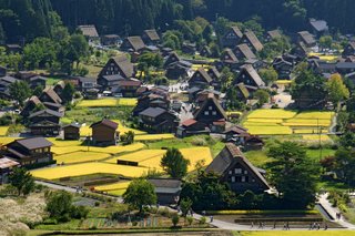 注文住宅集まってるエリアダサくない？