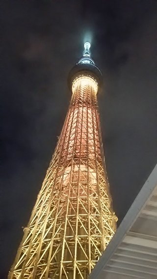 タワーマンションに住んでる人羨ましい！夜景の写真見せて下さい