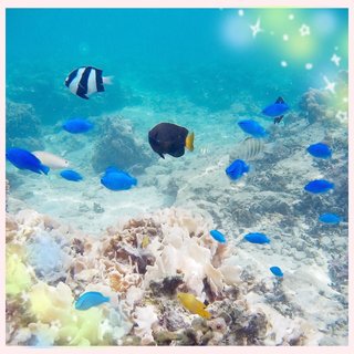 【総合】沖縄【作ったさ～】