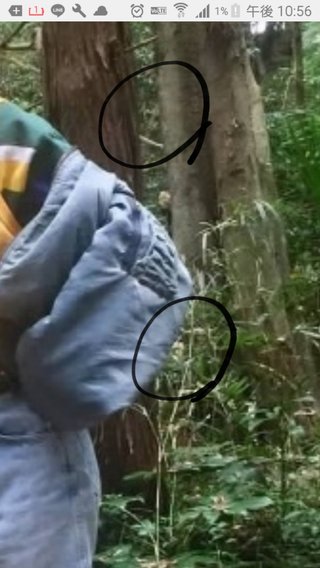 【画像】りゅうちぇる、“心霊写真”の指摘に怯える 