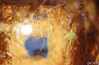 神宮外苑で火災、五歳児1人死亡＝イベント展示物燃え