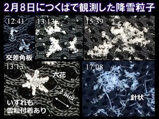 「関東甲信の皆さま、雪結晶の写真を送って」――気象庁研究官がTwitterで呼び掛け、なぜ？
