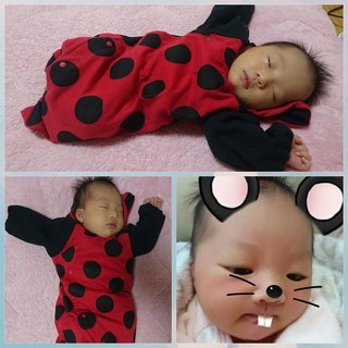 赤ちゃんがみたい