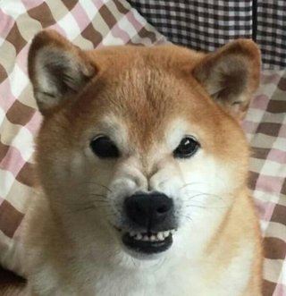 姪っ子がお遊戯会で大泣き＆踊らない子だった場合、フォローは何て言う？