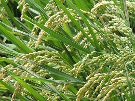 文春に２４９０万円支払い命令