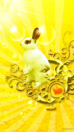 年末ジャンボ、今日までですよ～～～！！！