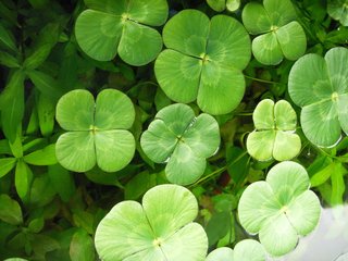 不倫してる方【重度の病み専用】