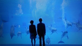 ＮＨＫ総合《お母さん､娘をやめていいですか?》来年1月13日ｽﾀｰﾄ毎週金曜 後10時､全8回