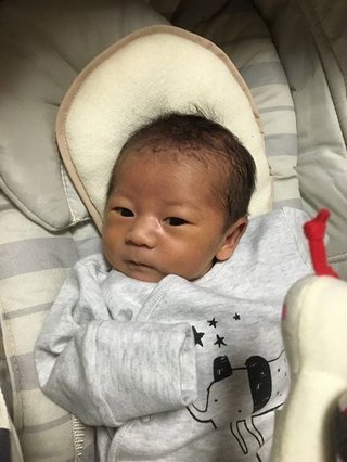 赤ちゃんがみたい