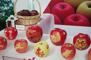 私〇〇だけど質問ある？