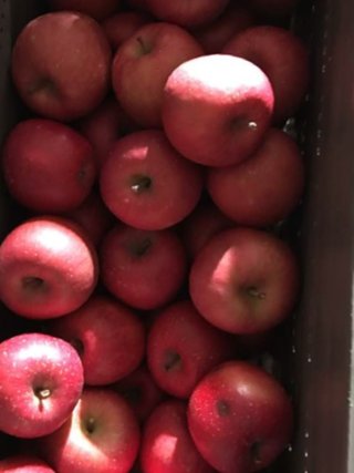 私〇〇だけど質問ある？