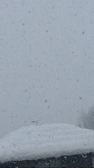 新潟～【総合】～