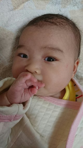 赤ちゃんがみたい