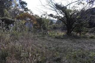 放火容疑で３８歳男逮捕　殺害との関連調べる　対馬の父娘殺人事件【長崎県】