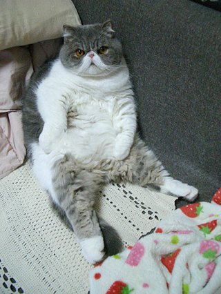 佐々木希…脱いだね