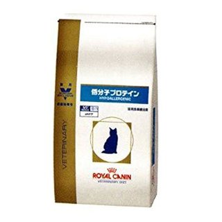 猫飼ってるのに臭くない家